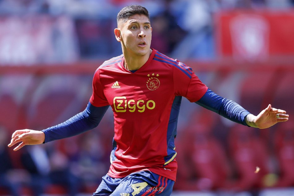 组织的后卫 组织的后卫